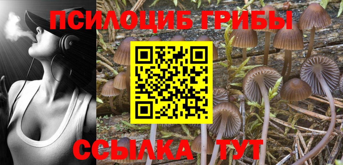 Галлюциногенные грибы прущие грибы Лабытнанги