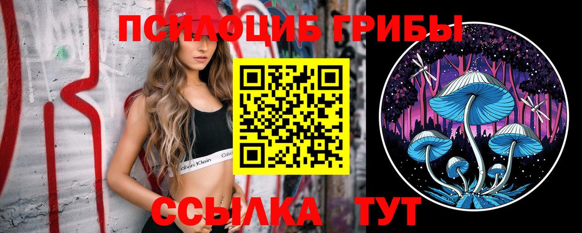 Лабытнанги  Галлюциногенные грибы мицелий  закладки  Вход с VPN 